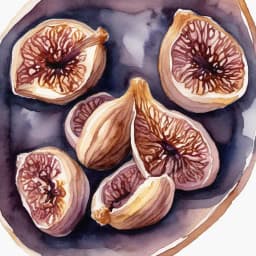 Tsuruya Soft Dried Fruit: Bite-sized Figs