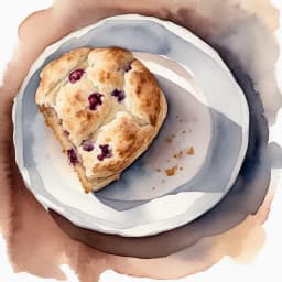 Bagelya Haru Plain Scone