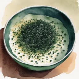 Tonburi