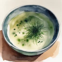 明和海苔