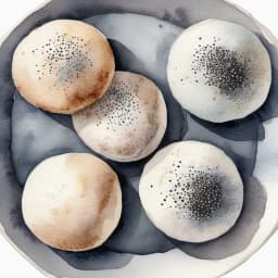 罂粟籽饼(Honke Kojima)