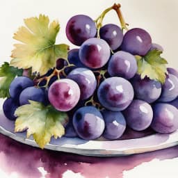Ibara Grapes