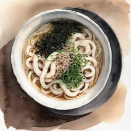 赞岐乌冬面（多津）