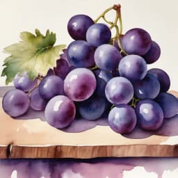 Mitsumata Grapes